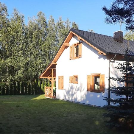 Domek Caloroczny Nad Jeziorem Budzislawskim, Wielkopolska Na Wynajem Anastazewo ภายนอก รูปภาพ