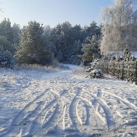 Domek Caloroczny Nad Jeziorem Budzislawskim, Wielkopolska Na Wynajem Anastazewo ภายนอก รูปภาพ