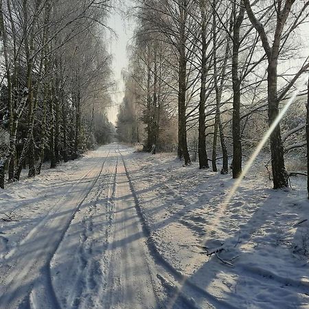 Domek Caloroczny Nad Jeziorem Budzislawskim, Wielkopolska Na Wynajem Anastazewo ภายนอก รูปภาพ