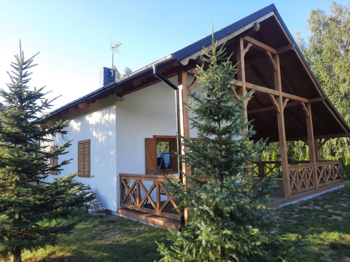 Domek Caloroczny Nad Jeziorem Budzislawskim, Wielkopolska Na Wynajem Anastazewo ภายนอก รูปภาพ