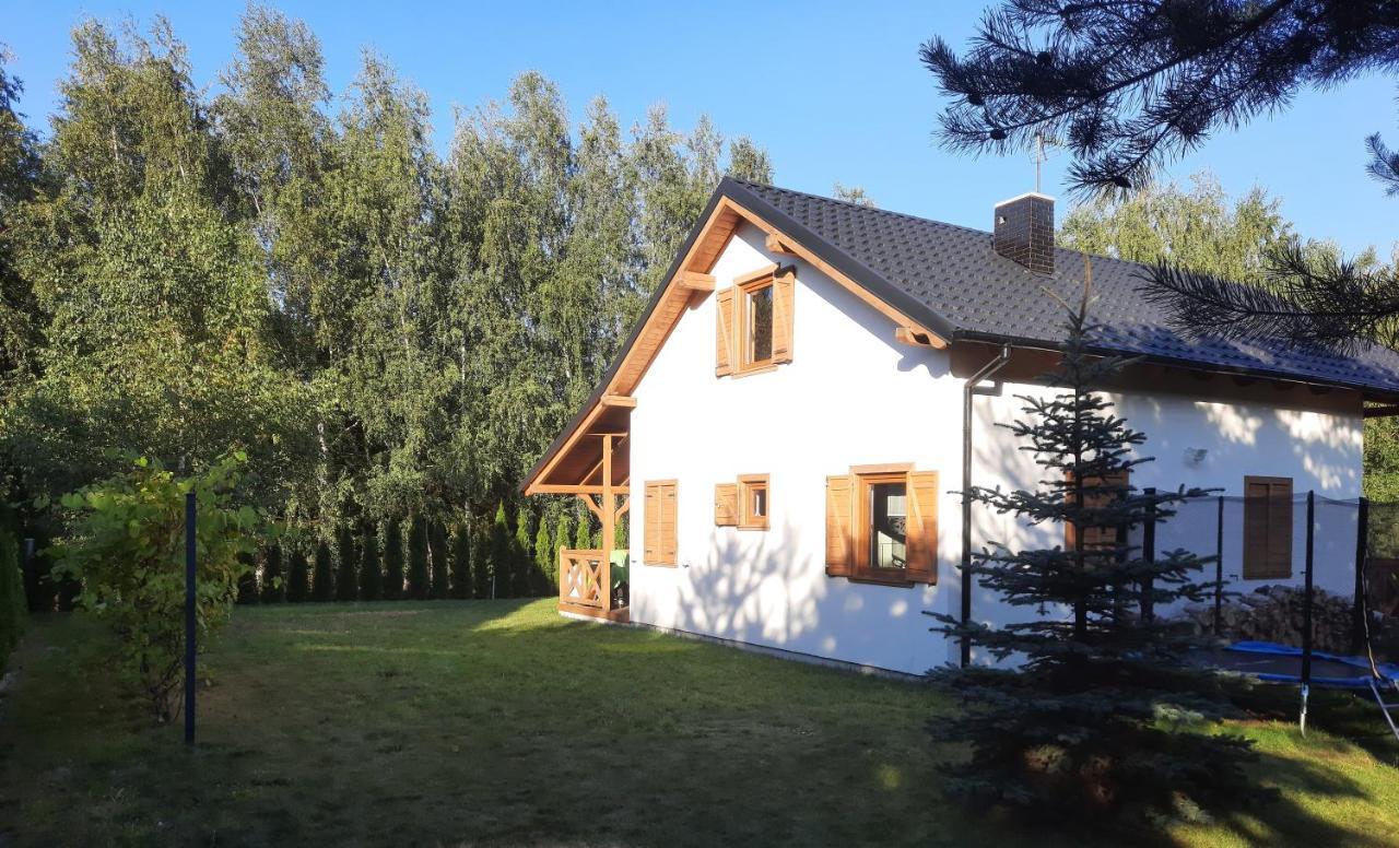 Domek Caloroczny Nad Jeziorem Budzislawskim, Wielkopolska Na Wynajem Anastazewo ภายนอก รูปภาพ
