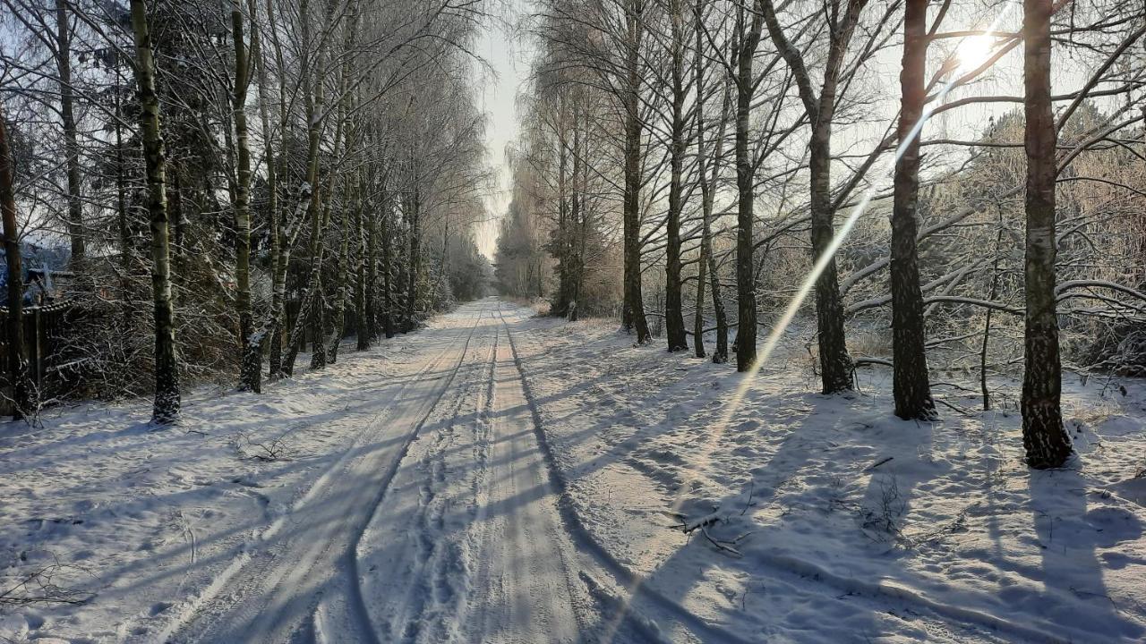 Domek Caloroczny Nad Jeziorem Budzislawskim, Wielkopolska Na Wynajem Anastazewo ภายนอก รูปภาพ