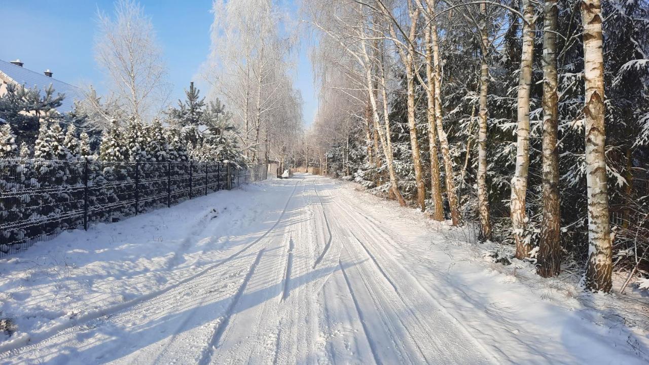 Domek Caloroczny Nad Jeziorem Budzislawskim, Wielkopolska Na Wynajem Anastazewo ภายนอก รูปภาพ